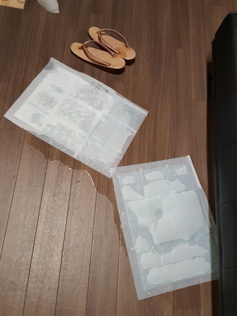 着物でお漏らし (2)