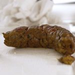 一門会が震えた…驚愕の極太糞「懇願!正座うんこ4」「概念おしっこ4」など新作3本発売!【排泄屋新作】