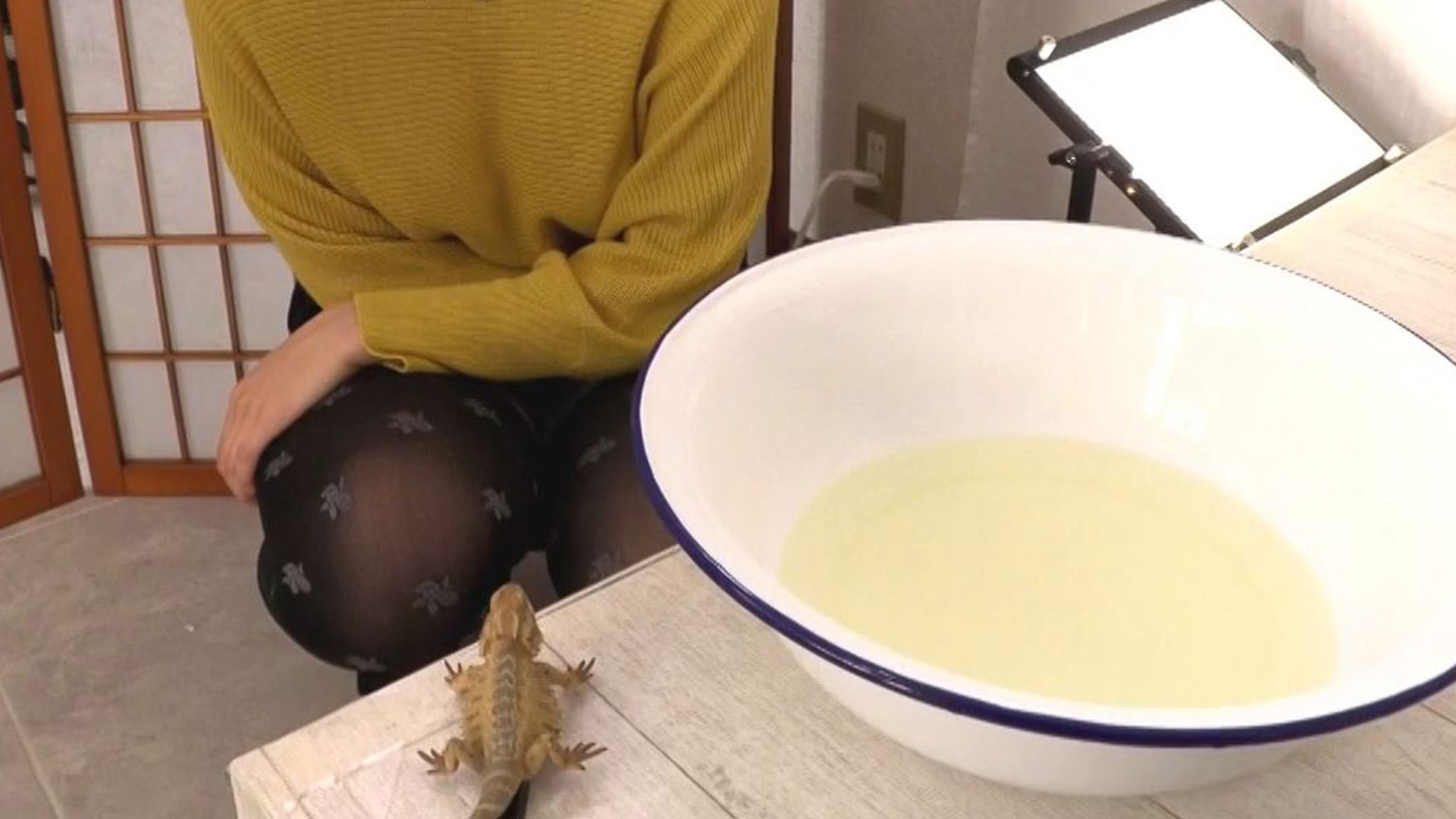 海月さん スカトロ 豪華絢爛…花形タイトル目白押し！！「リッター膀胱」「エレベーターうんこ2」など新作4本発売！【排泄屋新作】 | スカトロ魂の女排泄一門会公式ブログ