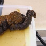 うんちとは…有難い感謝の搾りカスです☆彡　「限界放尿23」「 恥態鏡覗糞姿29」「控室緊放尿７」他 新作6本発売！【排泄屋新作】