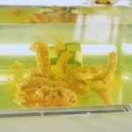 これこそが本当のうんこミュージアムだぁぁ――――！！！　「自画撮りおしっこ113」「タイムロッキング6」「ちょっとすみません2」他発売！【排泄屋5月15日新作】