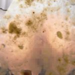 おならだと思ってしたら… カメラ強襲のセンター前ヒット💩💨💨  「デニムお姉さん尻放屁 7」「シチュエーション・おもらし おしっこ編 20」「下品な音を響かせて17」他 新作6本発売!【排泄屋新作】