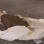 玄関にデカ糞が落ちてたんだが💦「おトイレ貸してくださいっ！5　玄関糞漏らしパニック」「おむつ、穿いてて良かった…！ シチュエーション・おもらし おむつ編 6」他発売！【排泄屋5月15日新作】