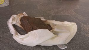玄関にデカ糞が落ちてたんだが💦「おトイレ貸してくださいっ！5　玄関糞漏らしパニック」「おむつ、穿いてて良かった…！ シチュエーション・おもらし おむつ編 6」他発売！【排泄屋5月15日新作】